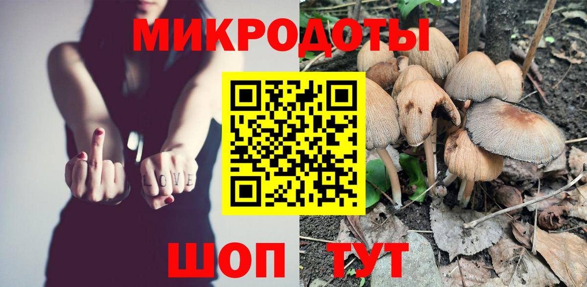 Псилоцибиновые грибы Psilocybine cubensis Комсомольск-на-Амуре