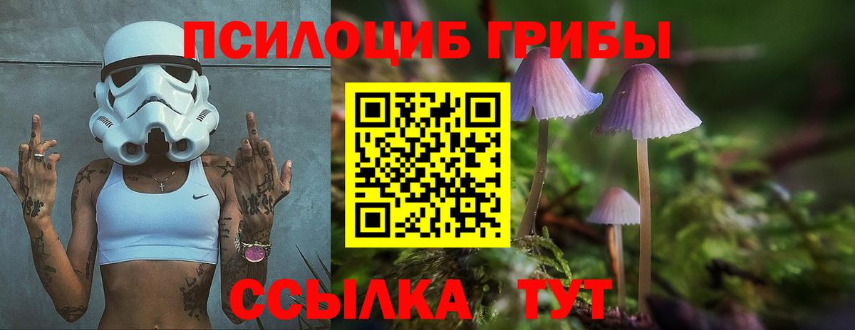 Галлюциногенные грибы Magic Shrooms  где купить наркоту  Галлюциногенные грибы прущие грибы  Комсомольск-на-Амуре  Вход с VPN 